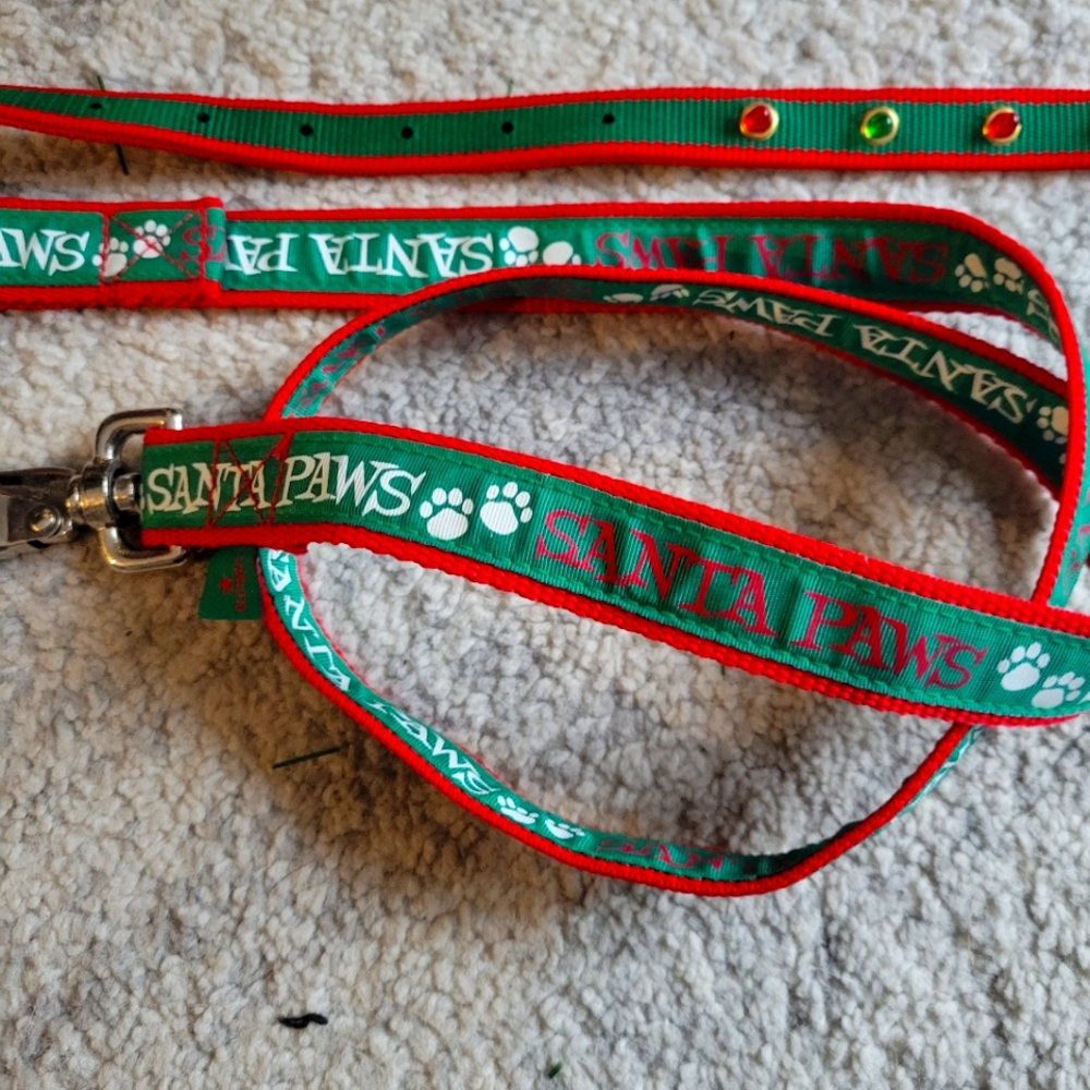 Dog Holiday Swag! Leash and Light up Collar